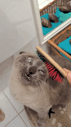 pideme-como-deseo:  Mi cara cuando me besan el cuello 👌🏻