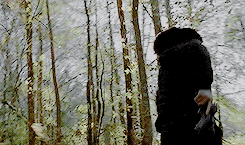 Norman Reedus tumblr