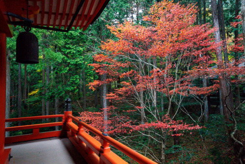 Flaming autumn trees in mount Hiei, by Prado