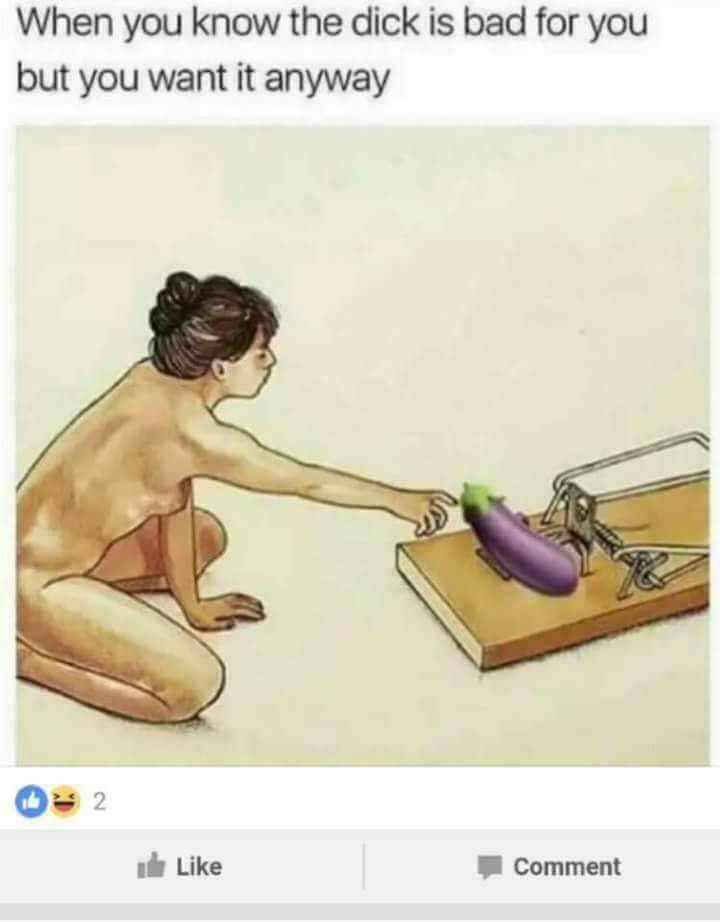 Tumblr Fuck Memes Tumblr Fuck Memes