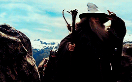 stupidape:The Lord of the Rings Meme | five friendships [4/5]→ The Fellowship  