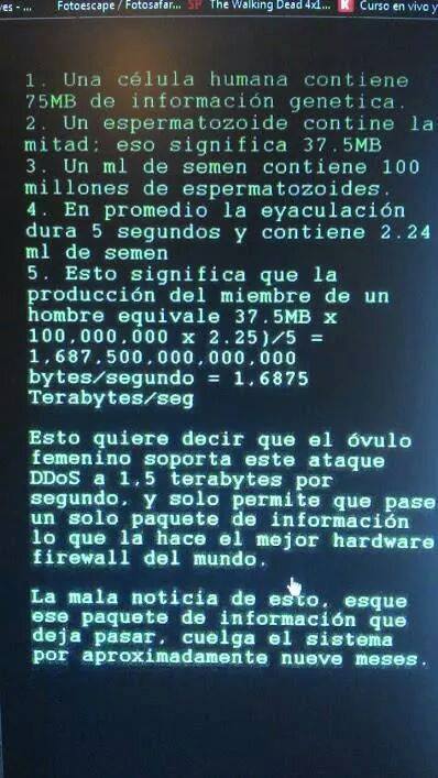 Follamos con Gordas