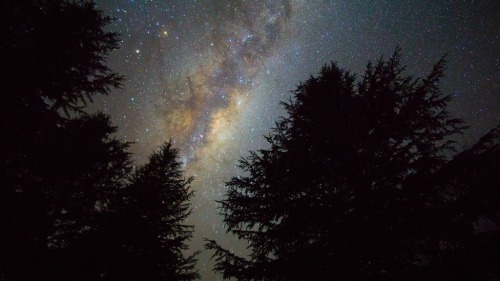 Milky Way nestled amongst Pines by Richard B on Flickr