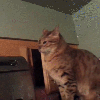 Booping Non-follower/mutual Blogs Like
