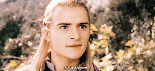 dailytvfilmgifs:‘Aragorn? This is Isildur’s heir?’ ‘And heir to the throne of Gondor.’ The Lord of t