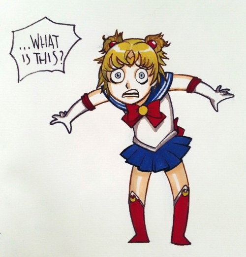 thesurveycops: Abrupt, non consensual series swap!Also: SAILOR ARMOON.Consider donating to my Patreo