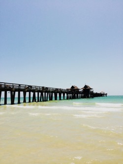 thesecretlifeofandy:  new-jerseyprep:  Naples, FL  Aww I miss my hometown!!!