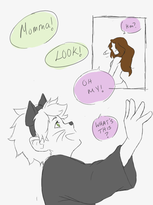 naptillmorning:  The Chat Noir miraculous can probably take on all sorts of intimidating forms, but I’d bet that for Adrien it resembles a domestic  cat because what he wants more than anything is a warm home to return to at the end of the day. 