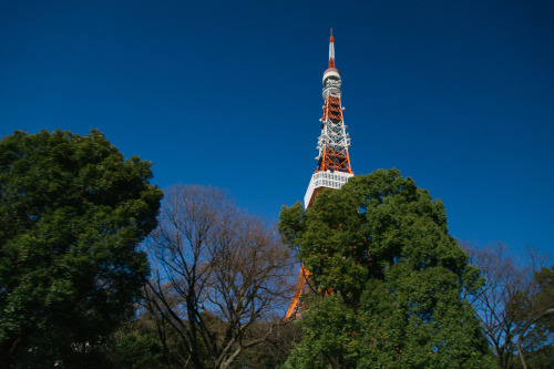 Around Tokyo, into 2017. By this time, I was tired of carrying around a DSLR everywhere.Canon 5D &am