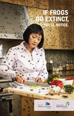 bashdoard:  wetookthe405:  WHAT THE FUCK KIND OF AD IS THIS  A REALLY EFFECTIVE ONE SAVE THE FROGS 