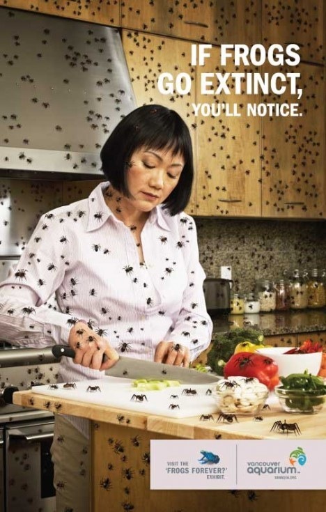 bashdoard: wetookthe405: WHAT THE FUCK KIND OF AD IS THIS A REALLY EFFECTIVE ONE SAVE THE FROGS THAT