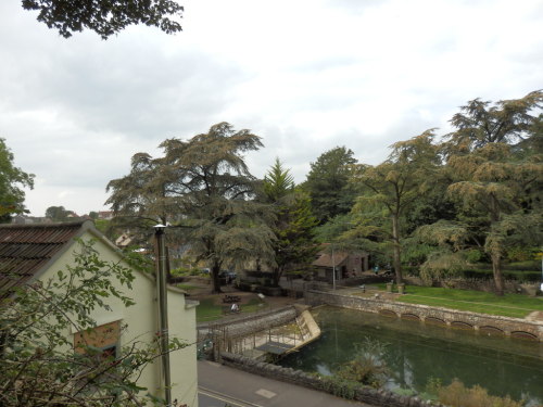 Pond and Park, Cheddar