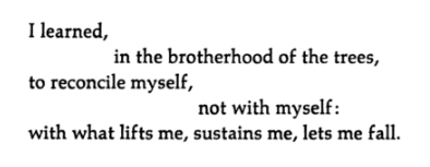 Octavio Paz, from ‘A Tale of Two Gardens’, A Tale of Two Gardens[Text ID: “I learned,in the brotherh