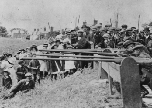 God Save the Queen &mdash;The Punt Gun Salutes of Cowbit, Lincolnshire,Punt guns were essentially la