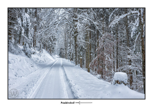 waldrebell:Innerhalb von 2 Tagen ist hier bei uns im nördlichen Schwarzwald 40-50 cm Schnee gefallen