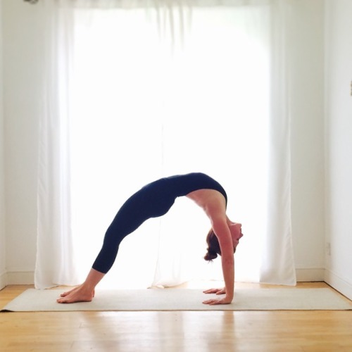 theyogamentor:
“ Photo
”
nice!