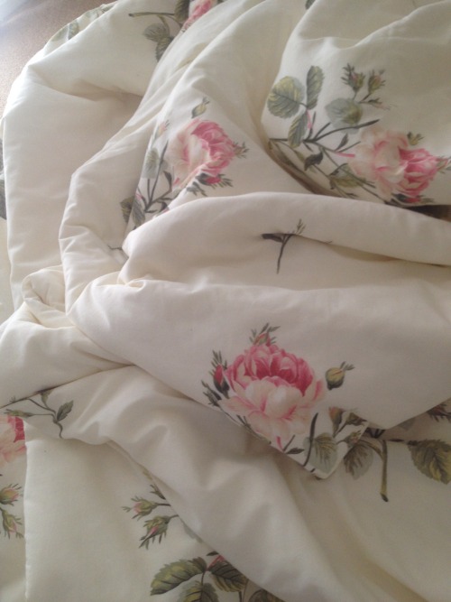 chrrybeaches:rose morning