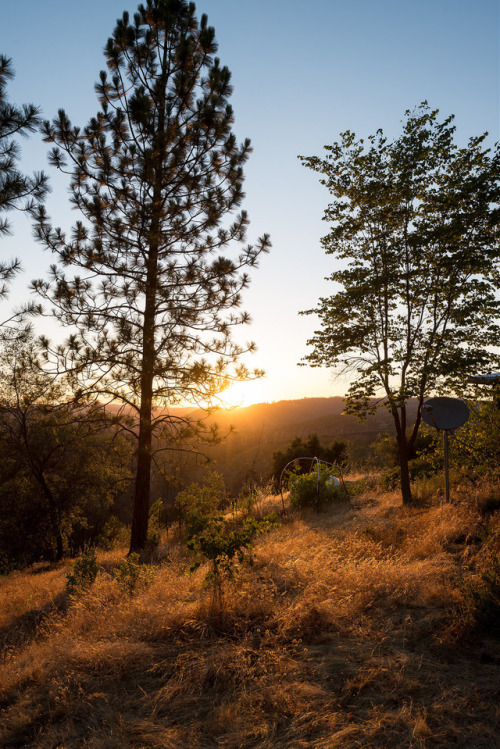 Sheep Ranch, California ◕ alec mcclure  ◔ photoblog 