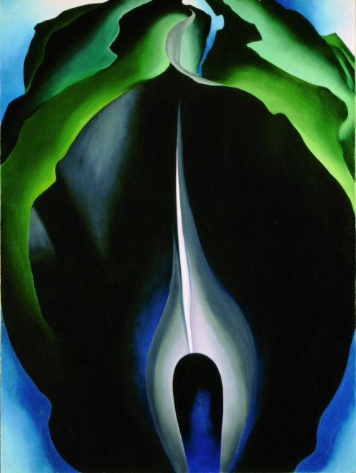 fawnvelveteen:Georgia O'KeeffeJack-in-the-Pulpit No. IV, 1930