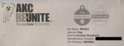 p0cket-pup: pupmishka: Now it’s all official. My chip is registered and I have a fancy new tag to proudly wear on my collar.  that is wicked cool. Good for your Mishka!  did you actually get chipped, or just registered for it @pupmishka ?