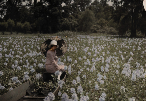 boudoirepoque: In a sea of flowers, 1920s by Clifton R. Adams