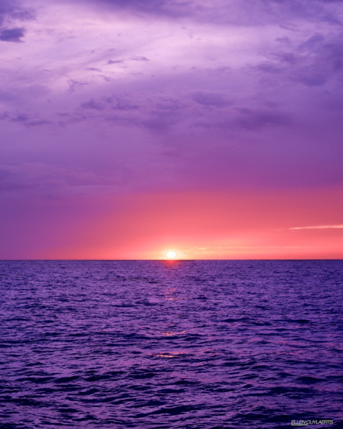 Porn photo drxgonfly:  Dry Tortugas Sunrise (by Ellen