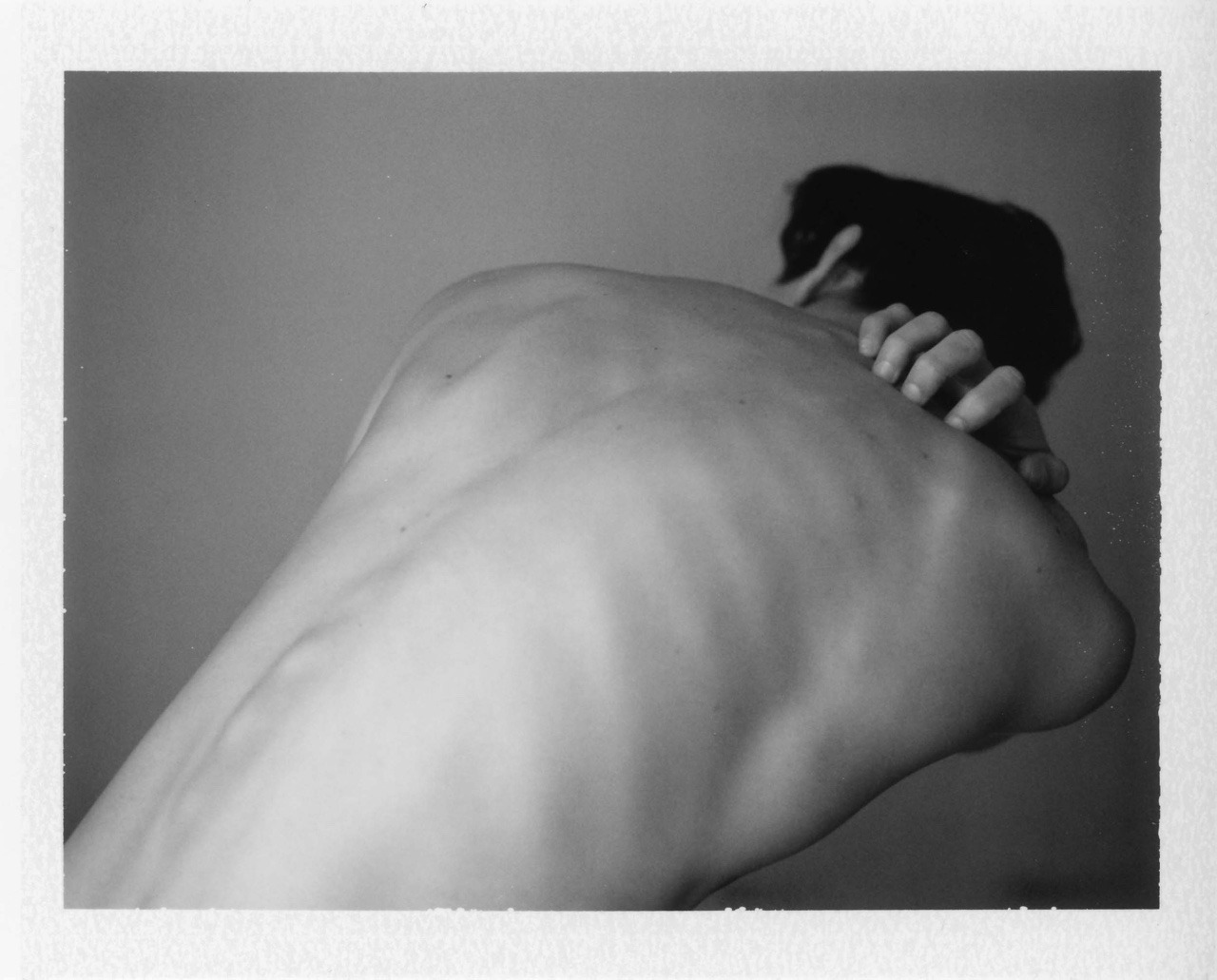 sean-clancy:  Dylan by Daniel Rampulla