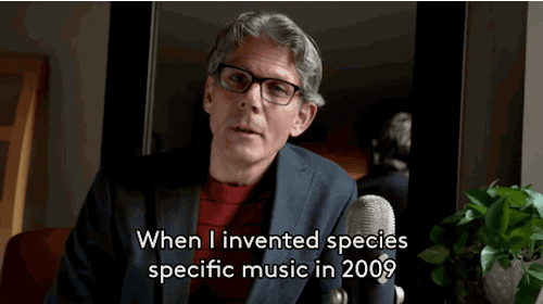 refinery29:Music For Cats Is Real And It’s The Purr-fect Way To Win Over Your FelineTeie, a cellist 