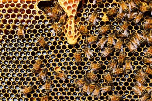 sciencenews-daily