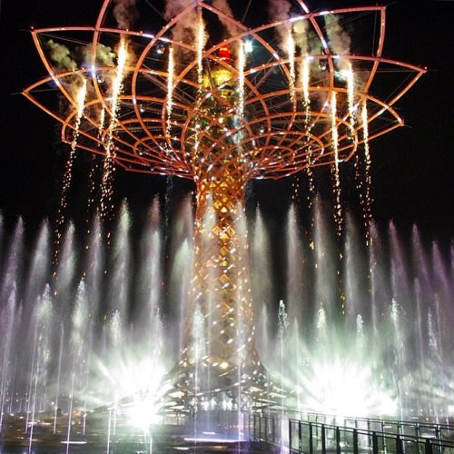 Expo 2015 - Tree of life. #Milan #Italia #Italy #Milano #Expo2015 #Travel #Instamoment #Instatravel