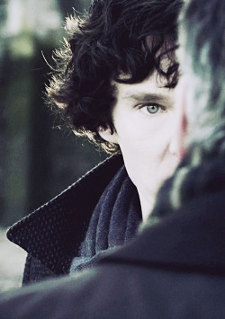 fenciak:  Sherlock na We Heart It http://weheartit.com/entry/82692539/via/potterjayonfire