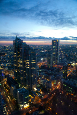 travelingcolors:  Shinjuku Lights, Tokyo | Japan (by mrhayata)