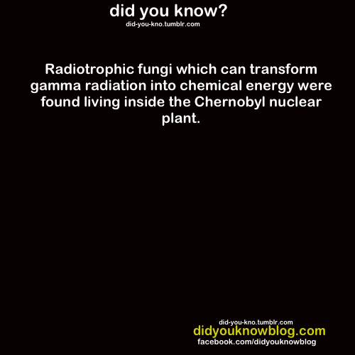 did-you-kno:  Source
