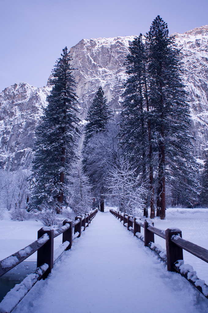 woodendreams:  (by Molly Wassenaar)