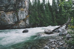 jaymegordon:  Bridge Creek campsite, North