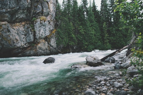 jaymegordon:   Bridge Creek campsite, North Cascades NP ➾ Jayme Gordon 