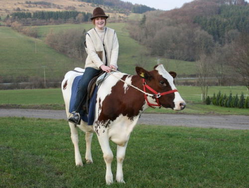 axolotlapothecary:ainawgsd:Cow Ridersgoals