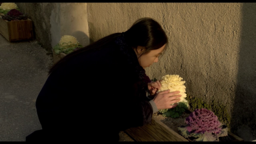 365filmsbyauroranocte: -Nobody’s Daughter Haewon (Hong Sang-soo, 2013) -On the Beach at Night