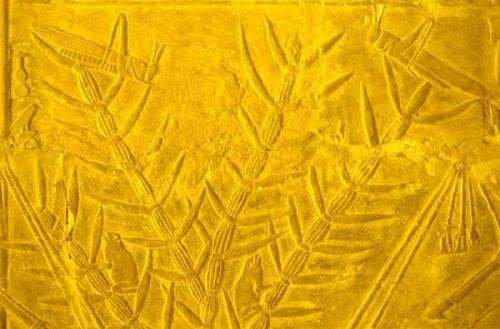 Locusts and frogs in plants, detail of a wall carving from the Mastaba of Merereuka. Reign of king T