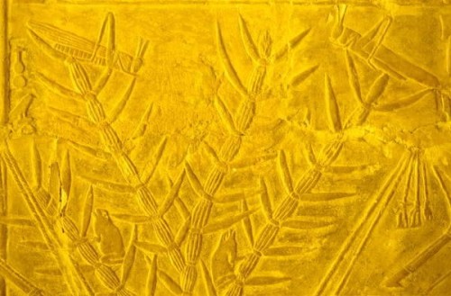 Locusts and frogs in plants, detail of a wall carving from the Mastaba of  Merereuka. Reign of 