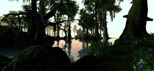 thanris: Morrowind: Regions  ⤷ Bitter Coast