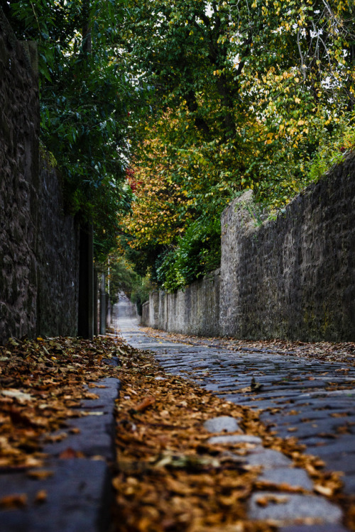 richarged: Strawberry Bank  Dundee, Scotland