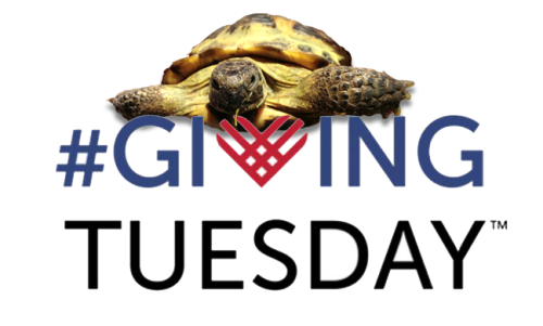 It&rsquo;s #givingtuesday once again, a day dedicated to collecting that post-Black Friday /cybe