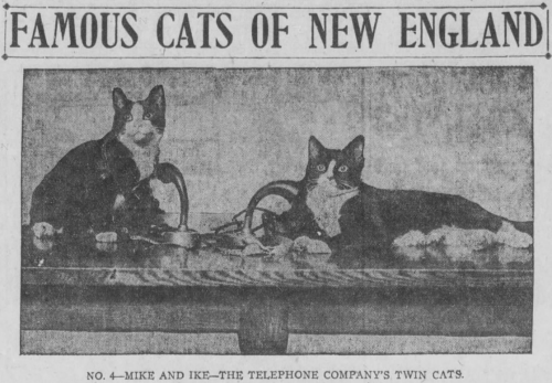 yesterdaysprint:Boston Post, Massachusetts, December 10, 1920