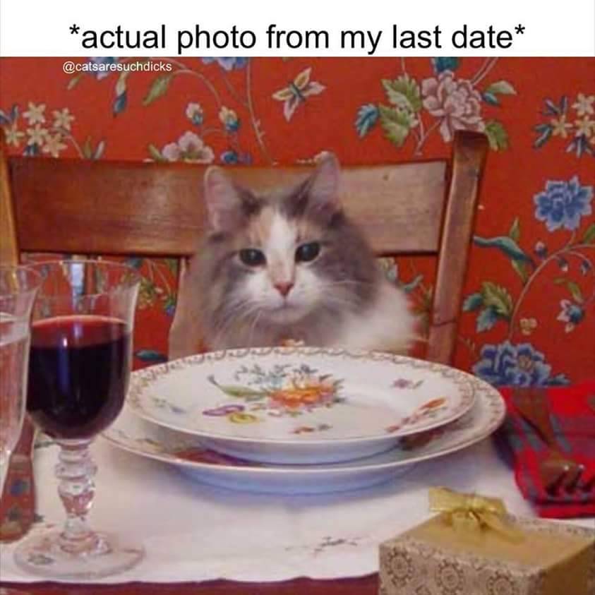 My future looks something like this. 