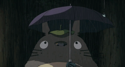japandreams:Totoro’s face in the rain ☂