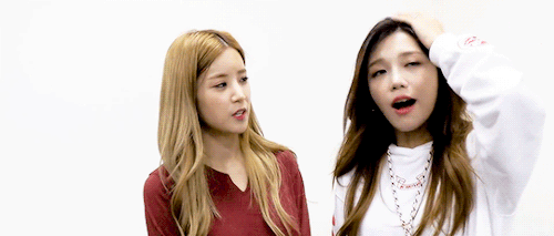 apinkdays:  chomi   ♥︎ eunrong 