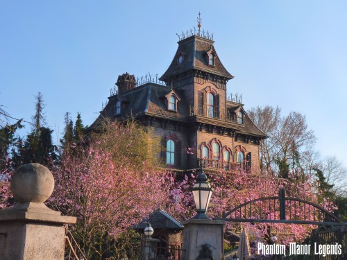 Phantom Manor in bloom