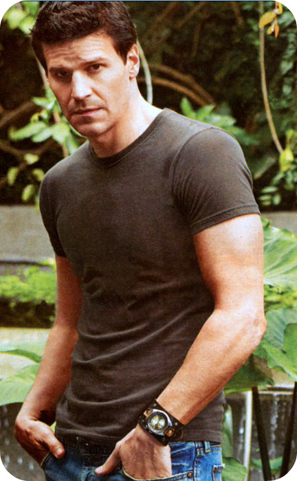 David boreanaz hot