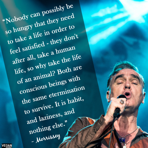 vbasement: Quote from Morrissey, an English singer, songwriter and author.